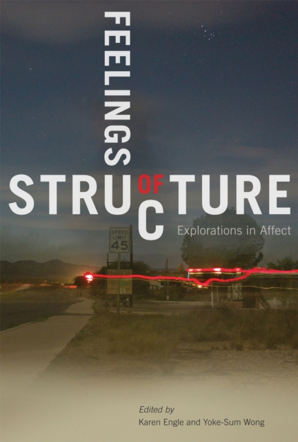 Feelings of Structure : Explorations in Affect, Hardback Book