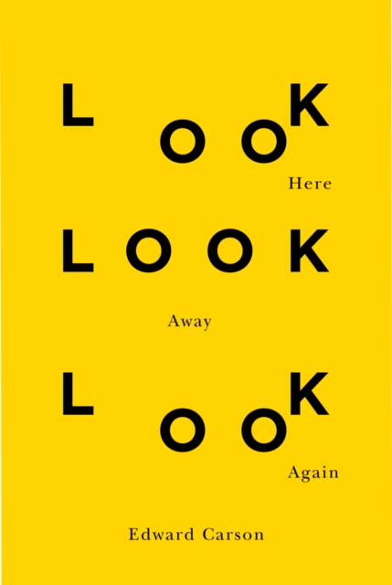Look Here Look Away Look Again : Volume 46, Paperback / softback Book