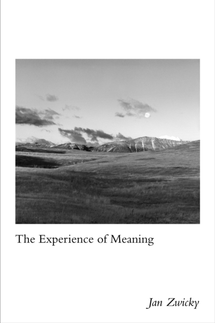 The Experience of Meaning, Hardback Book