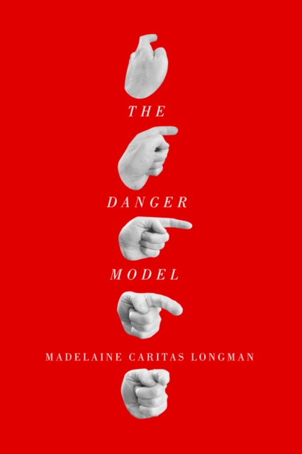 The Danger Model : Volume 51, Paperback / softback Book