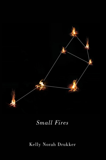 Small Fires, PDF eBook