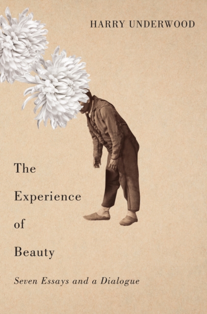 The Experience of Beauty : Seven Essays and a Dialogue, PDF eBook