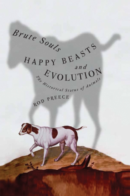 Brute Souls, Happy Beasts, and Evolution : The Historical Status of Animals, Paperback / softback Book