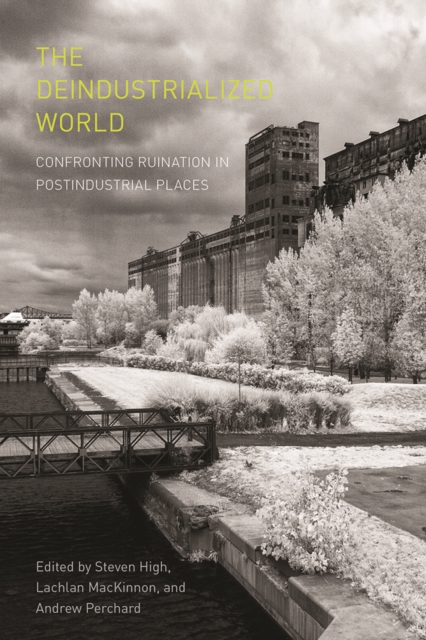 The Deindustrialized World : Confronting Ruination in Postindustrial Places, Paperback / softback Book