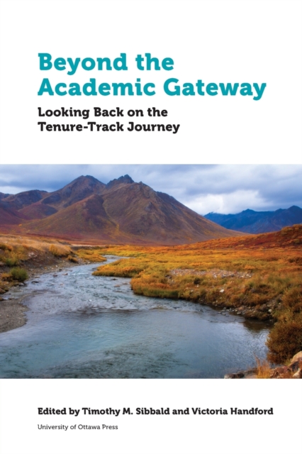 Beyond the Academic Gateway : Looking back on the Tenure-Track Journey, Paperback / softback Book