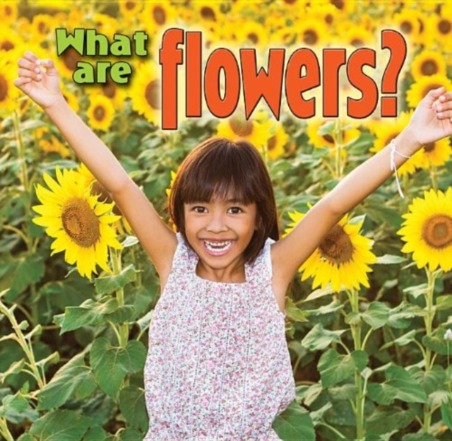 What are Flowers, Paperback / softback Book
