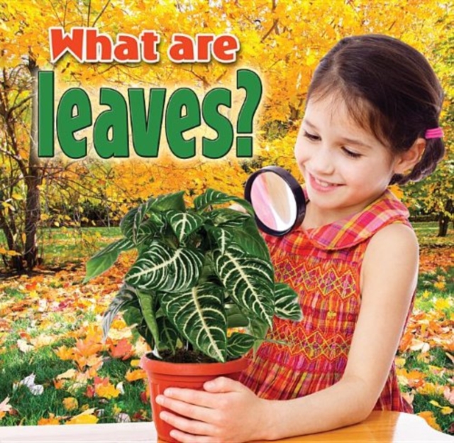 What Are Leaves, Paperback / softback Book