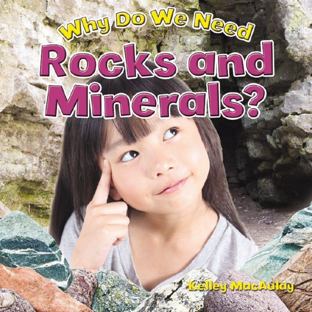 Why Do We Need Rocks and Minerals?, Paperback / softback Book