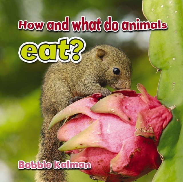 How and What Animals Eat, Paperback / softback Book