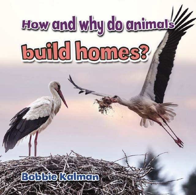 How and Why Do Animals Build Homes, Paperback / softback Book