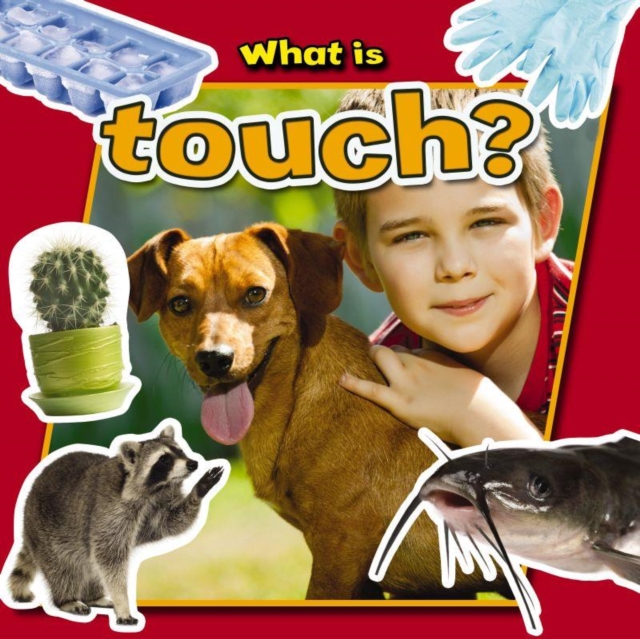 What is Touch?, Paperback / softback Book