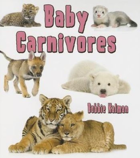 Baby Carnivores, Paperback / softback Book