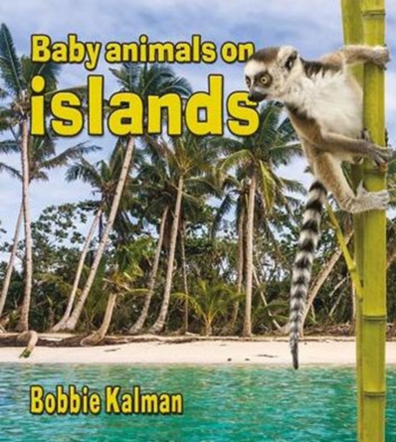Baby Animals on Islands, Paperback / softback Book