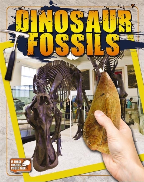 Dinosaur Fossils, Paperback / softback Book