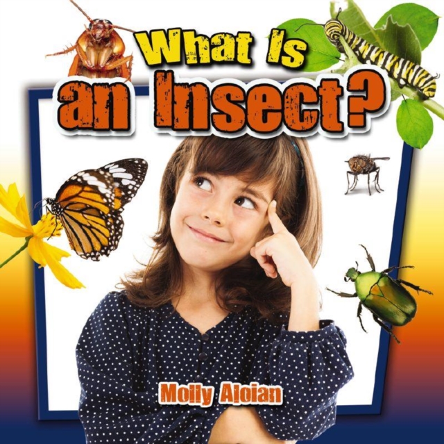 What is an insect?, Paperback / softback Book