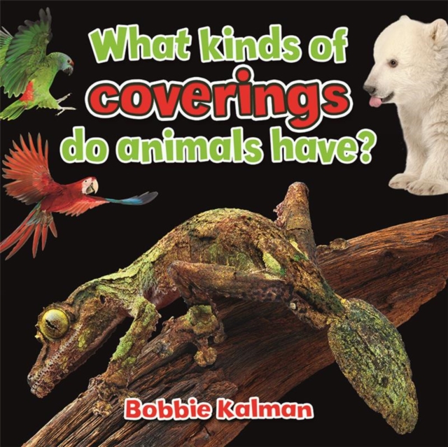 What Kinds of Coverings Do Animals Have, Paperback / softback Book
