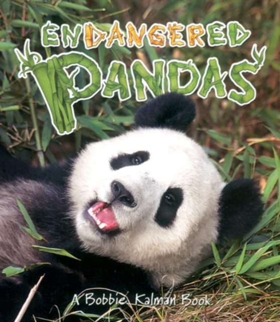 Endangered Pandas, Paperback / softback Book