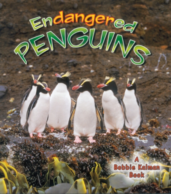 Endangered Penguins, Paperback / softback Book