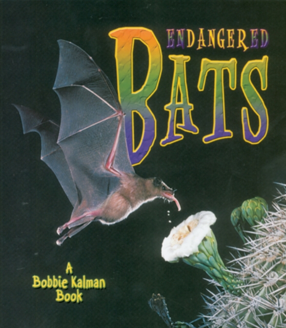 Endangered Bats, Paperback / softback Book