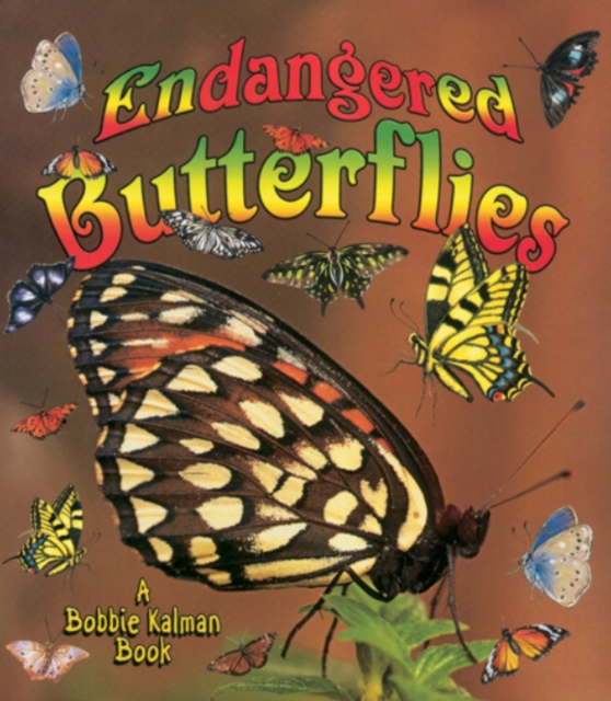 Endangered Butterflies, Paperback / softback Book