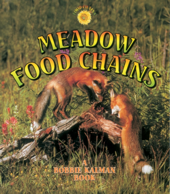 Meadow Food Chains, Paperback / softback Book