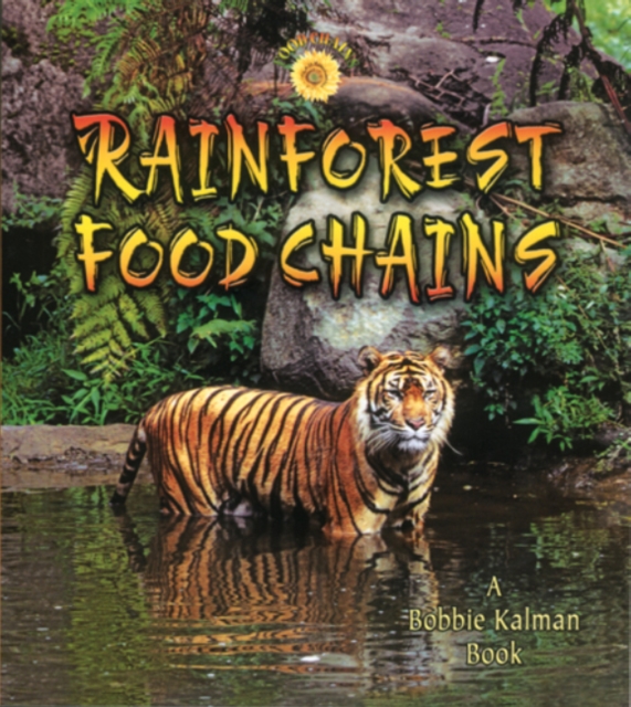 Rainforest Food Chains, Paperback / softback Book