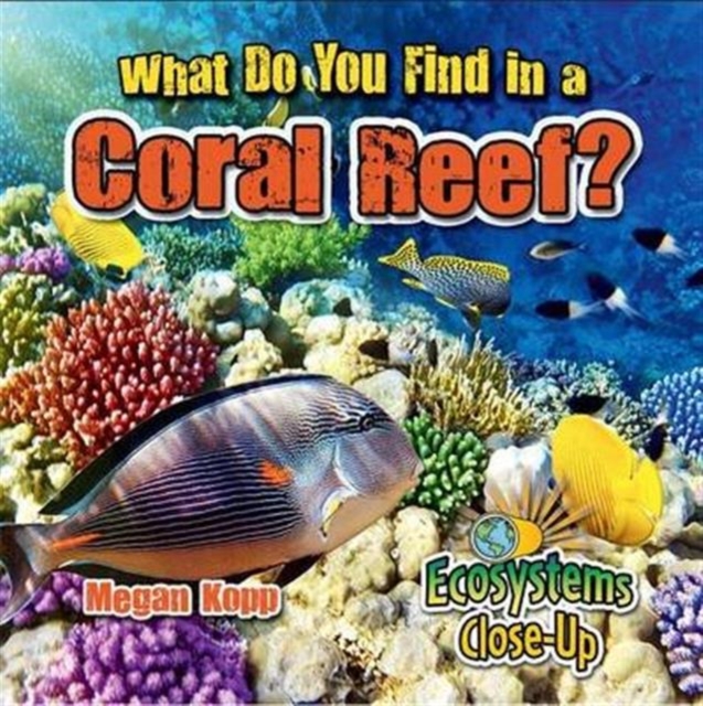 What Do You Find in a Coral Reef?, Paperback / softback Book