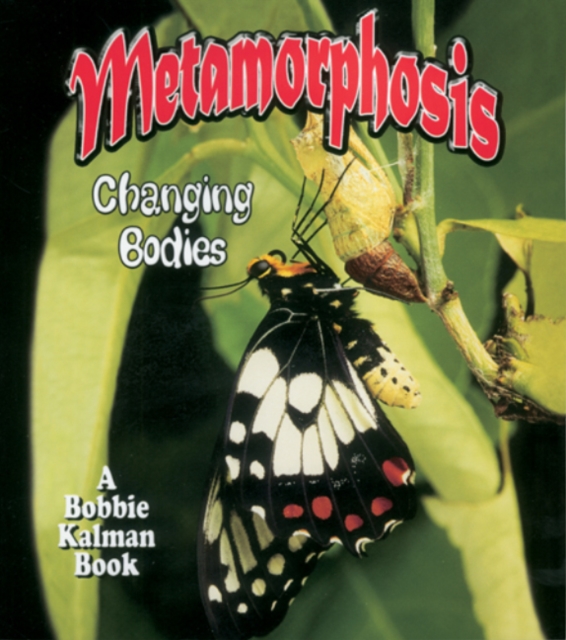 Metamorphosis : Changing Bodies, Paperback / softback Book