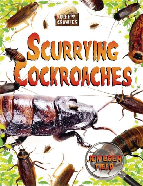 Scurrying Cockroaches, Paperback / softback Book