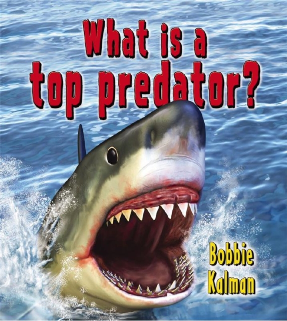 What is a top predator?, Paperback / softback Book