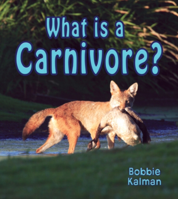 What is a Carnivore, Paperback / softback Book
