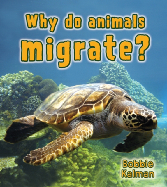 What Do Animals Migrate, Paperback / softback Book