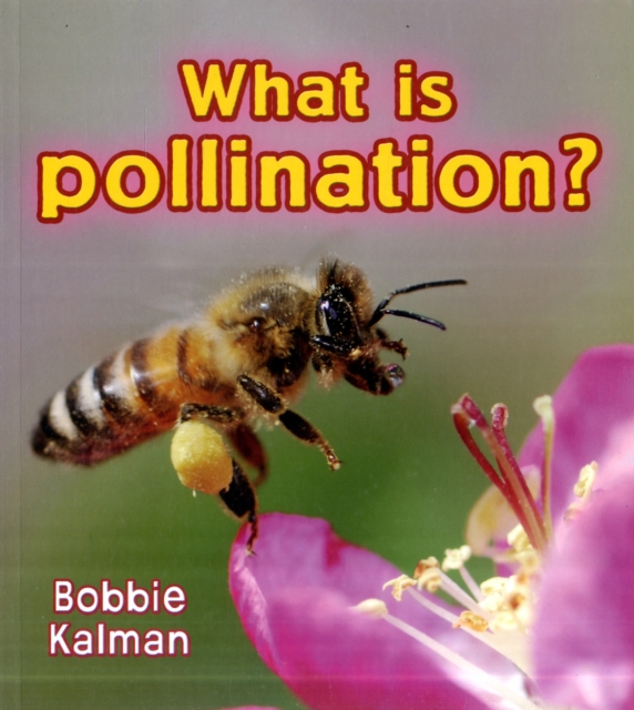 What is pollination?, Paperback / softback Book