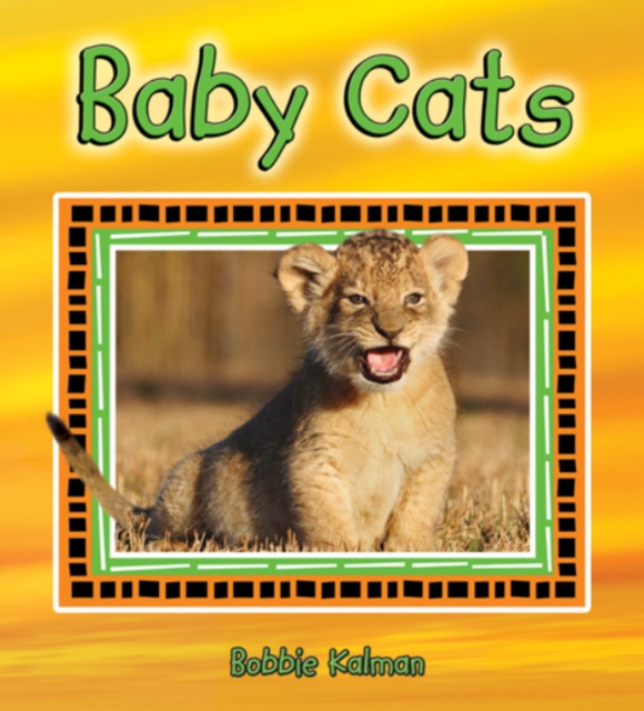 Baby Cats, Hardback Book