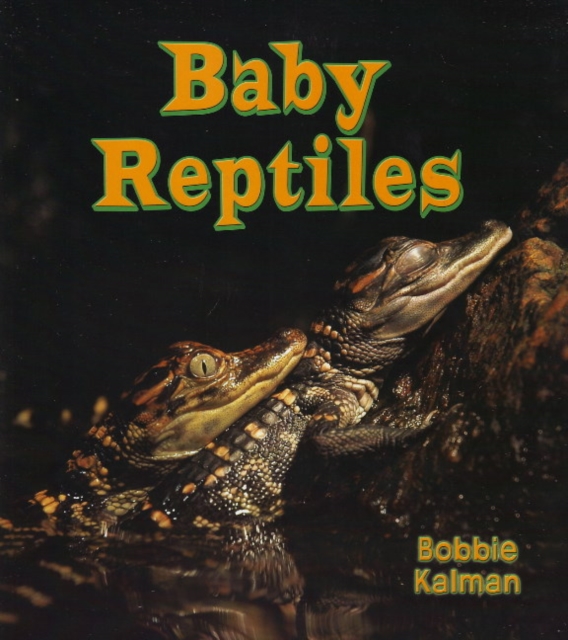 Baby Reptiles, Paperback / softback Book