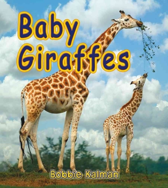 Baby Giraffes, Paperback / softback Book