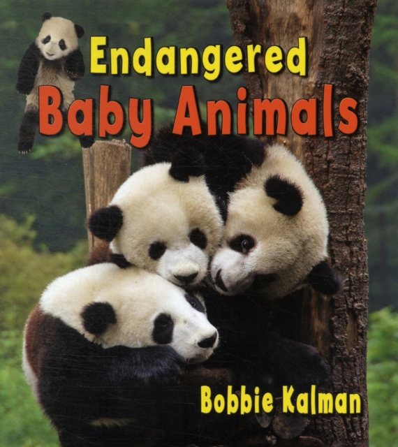 Endangered Baby Animals, Paperback / softback Book