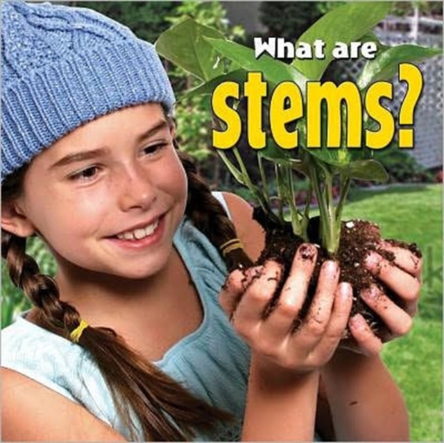 What are stems?, Paperback / softback Book