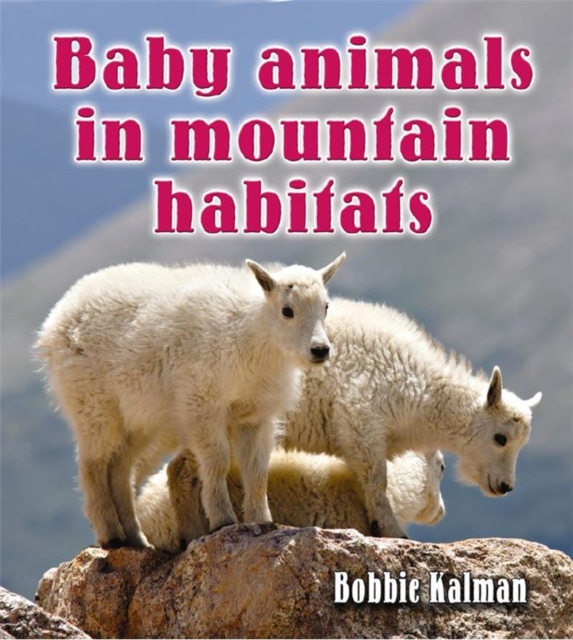 Baby Animals in Mountain Habitats, Paperback / softback Book