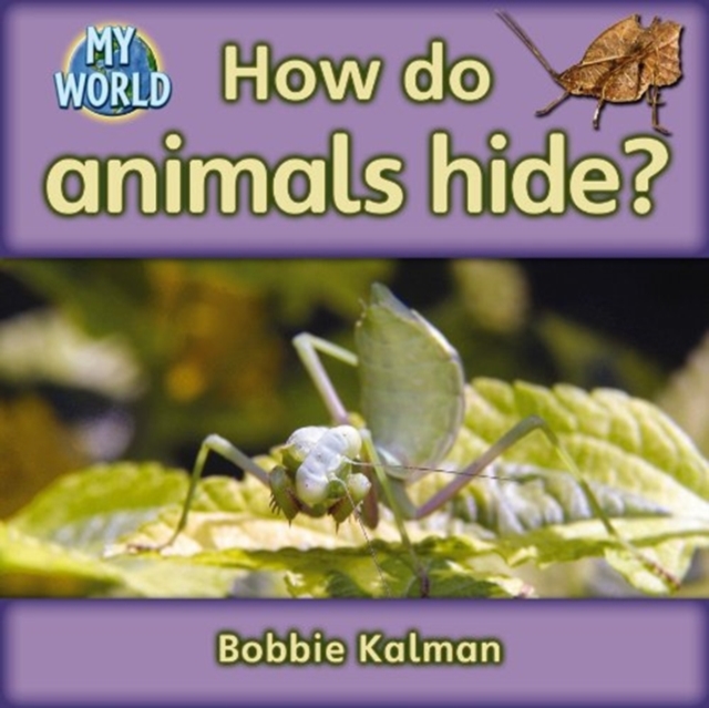 How do animals hide? : Animals in My World, Paperback / softback Book