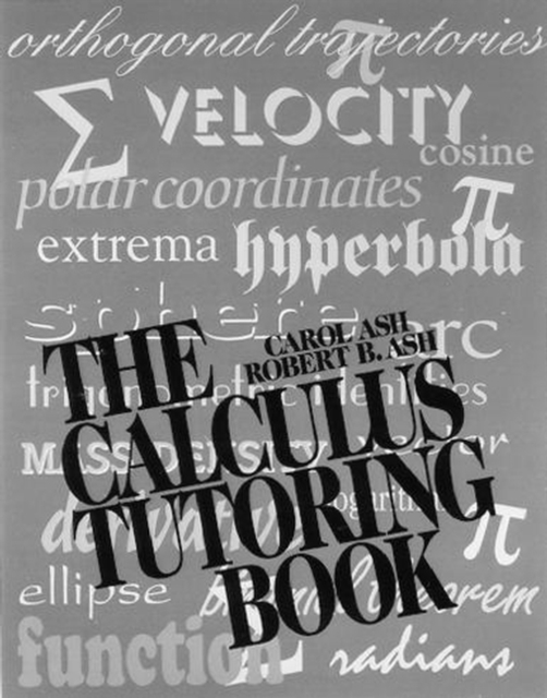 The Calculus Tutoring Book, Paperback / softback Book