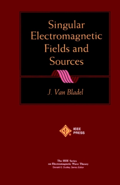 Singular Electromagnetic Fields and Sources, Paperback / softback Book