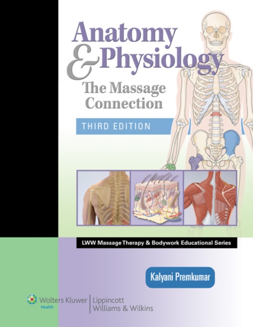 Anatomy & Physiology : The Massage Connection, Hardback Book