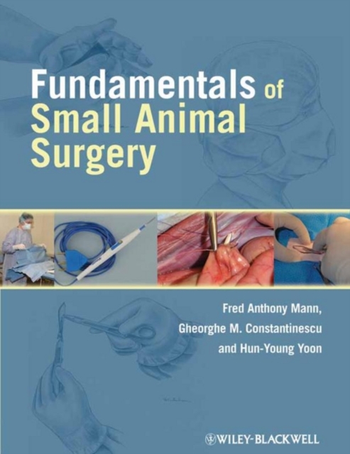 Fundamentals of Small Animal Surgery, Paperback / softback Book