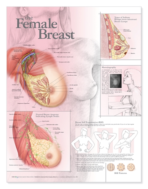 The Female Breast Anatomical Chart, Wallchart Book