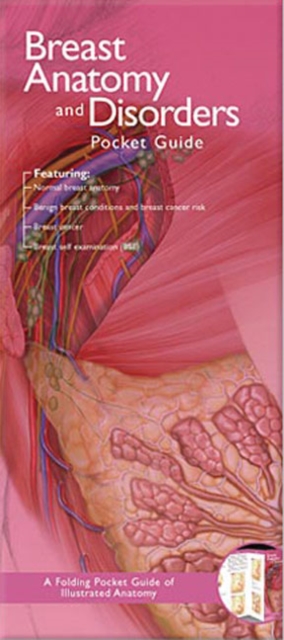 Anatomical Chart Company's Illustrated Pocket Anatomy: Breast Anatomy and Disorders Pocket Guide : Study Guide, Undefined Book