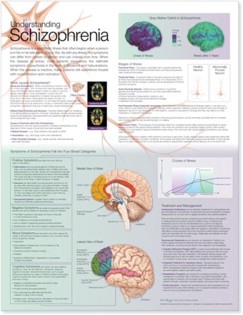 Understanding Schizophrenia Anatomical Chart, Wallchart Book