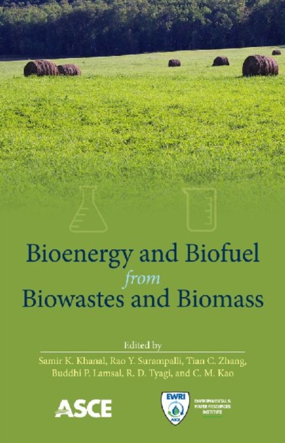 Bioenergy and Biofuel from Biowastes and Biomass, Paperback / softback Book