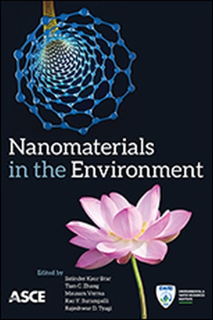 Nanomaterials in the Environment, Paperback / softback Book