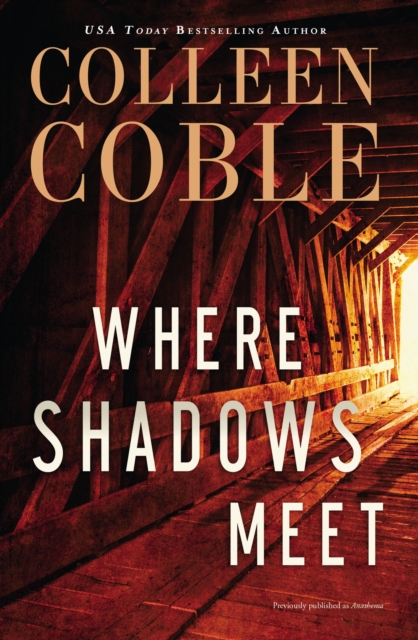 Where Shadows Meet : A Romantic Suspense Novel, Paperback / softback Book